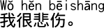 中国語会話 とても悲しいです。